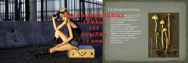 прущие грибы Зеленокумск