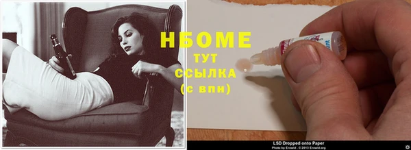 прущие грибы Зеленокумск