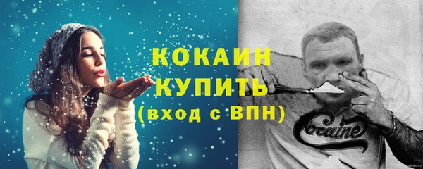 прущие грибы Зеленокумск