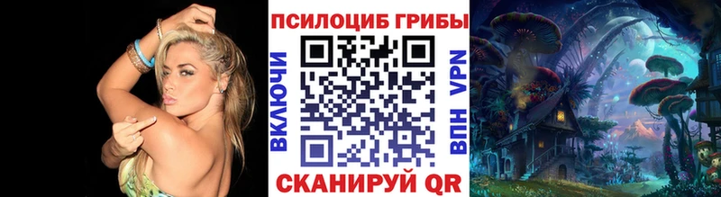 Купить  Нефтеюганск  Псилоцибиновые грибы мицелий 